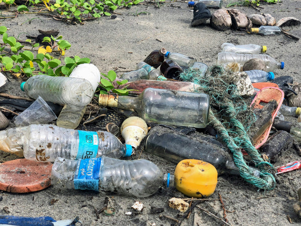 Zużycie plastiku w gospodarstwach domowych w Polsce i Europie: Stan obecny i wyzwania